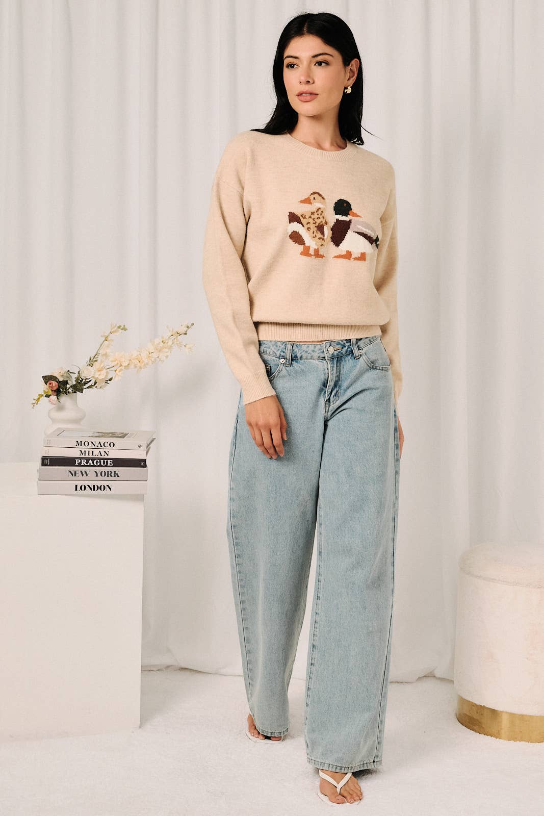Round Neck Mallard Duck Graphic Long Sleeve Knit Sweater