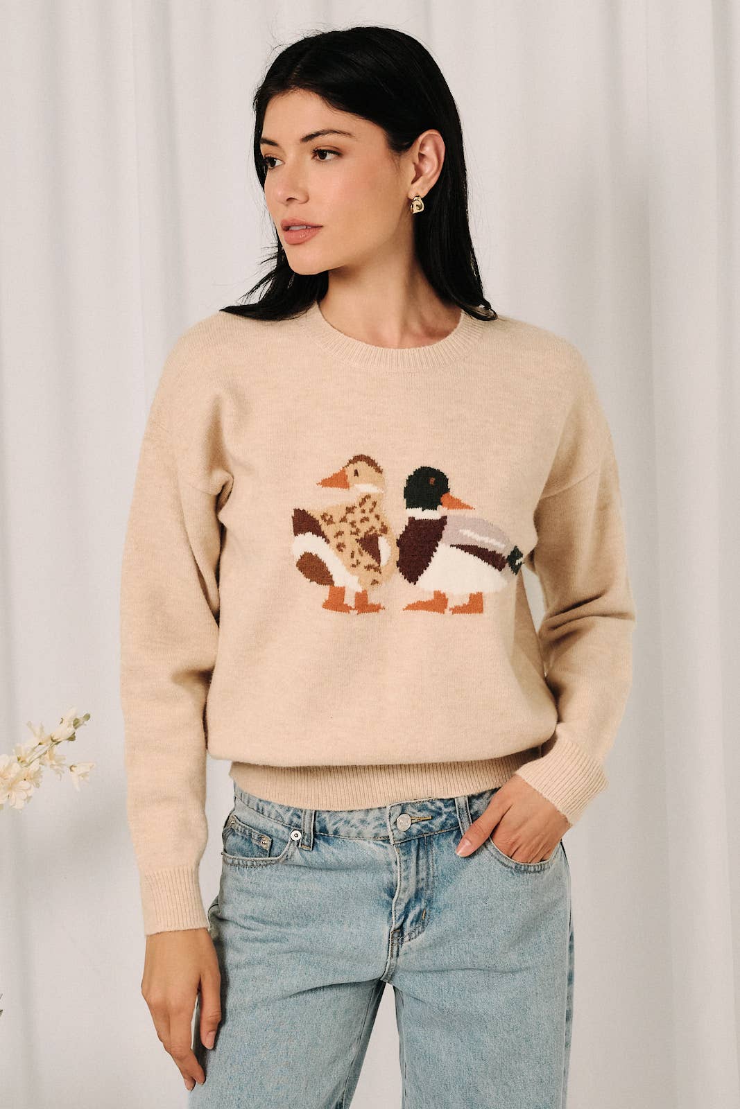 Round Neck Mallard Duck Graphic Long Sleeve Knit Sweater